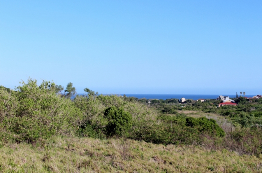 0 Bedroom Property for Sale in Forest Downs Eastern Cape